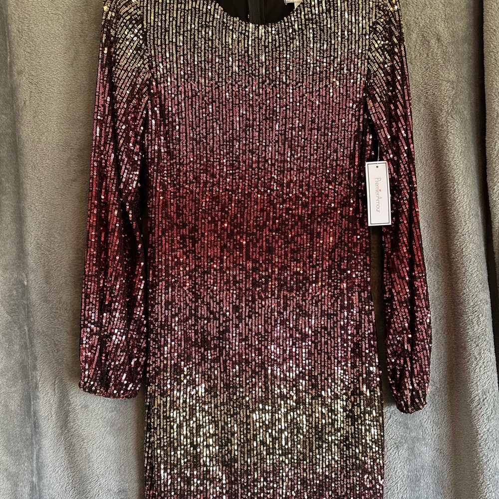 Sequin Ombré Dress with 3/4 Bishop Sleeves
